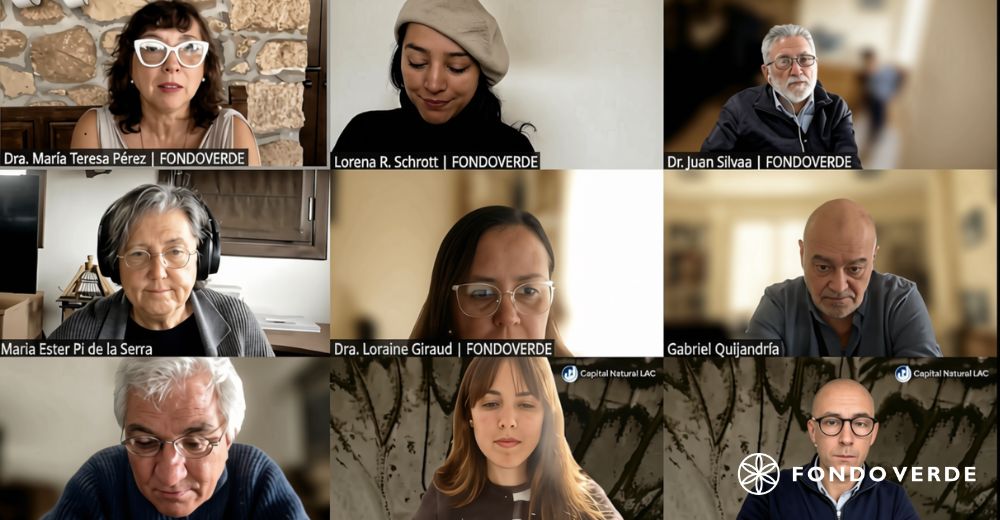 Fondo Verde Academy: ¿Y si el protagonista del liderazgo no fuera el líder?