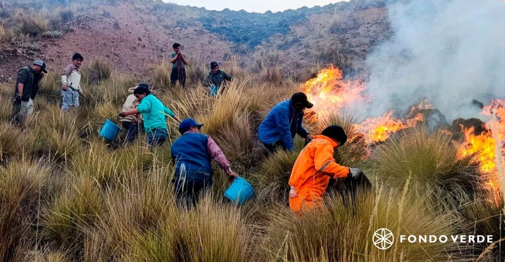 De la emergencia a la acción proactiva